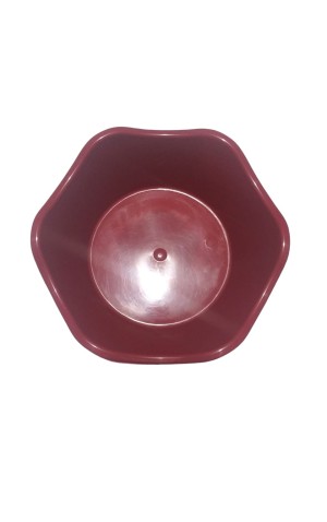 12) PLASTICO FRUTEIRA COM DESENHO SORTIDA PC/50