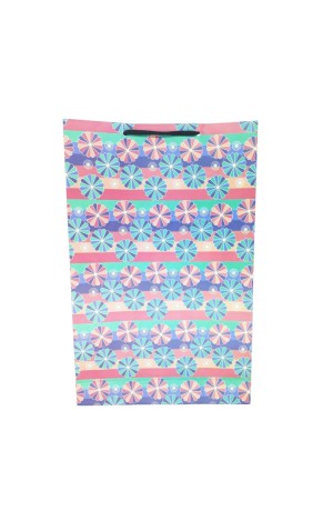 17) SACOLA PRESENTE PEQUENA 15X20CM PC/100