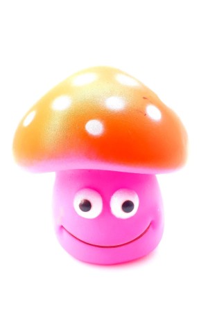 29) PET COGUMELO UN/1