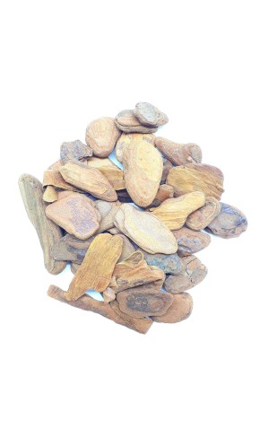 10) CASCA DE PINOS PC/12