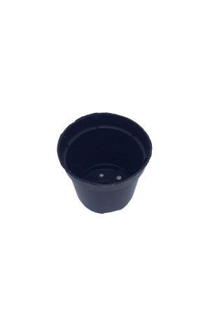 12) PLASTICO VASO N 6 80ML PC/50